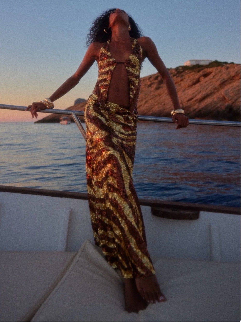 Brown and Gold Beaded Sequin Zebra Print Skirt Set
